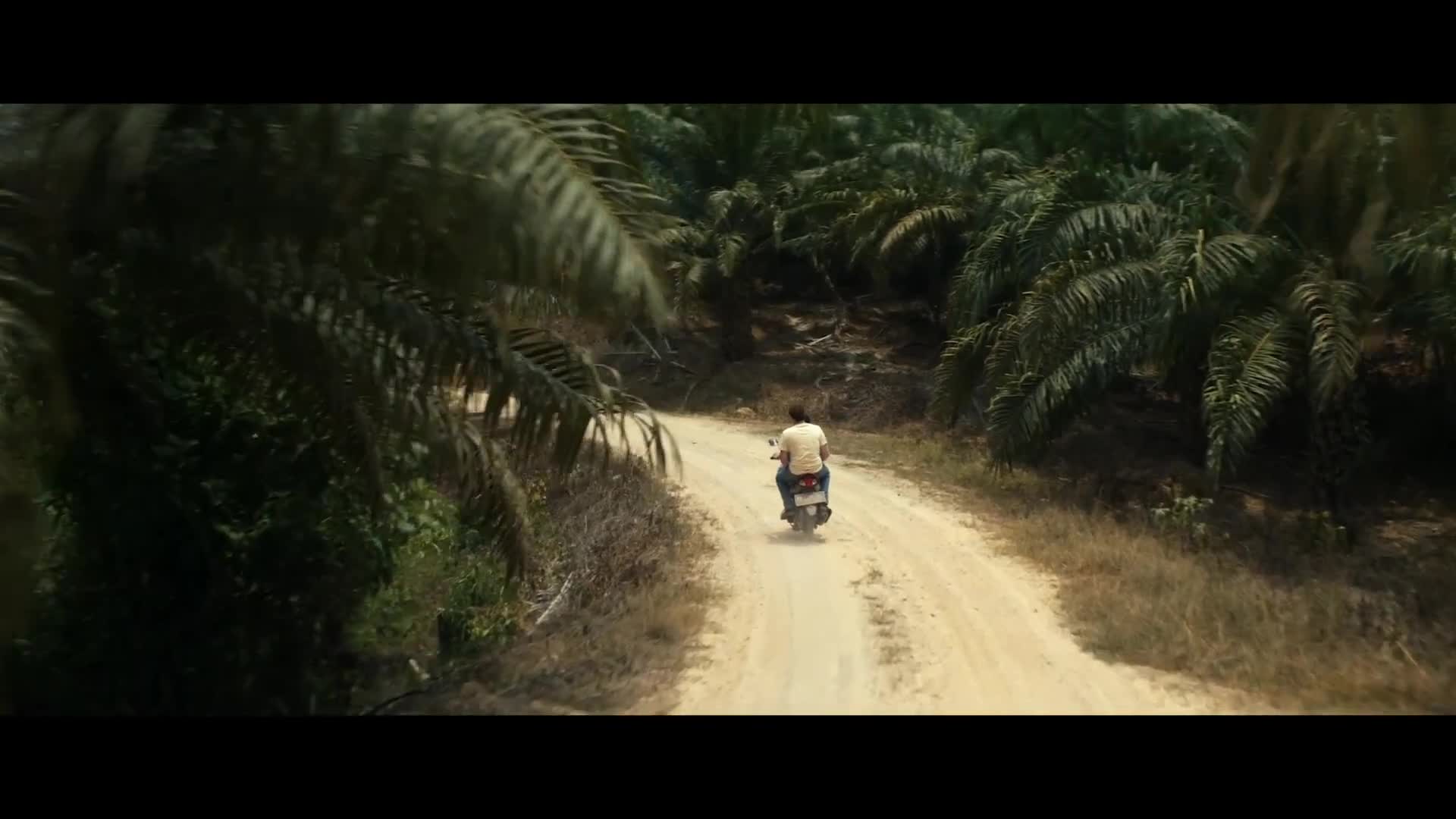 EL ORO VERDE | ESTRENO 18 DE OCTUBRE EN CINES | Tráiler Oficial Español HD