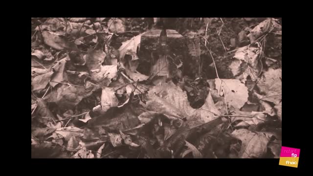 L'instant Fip à la Fnac