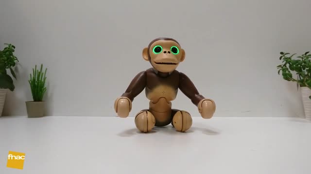 ZOOMER Chimp Robot singe Intéractif et radiocommandé - Cdiscount Jeux -  Jouets