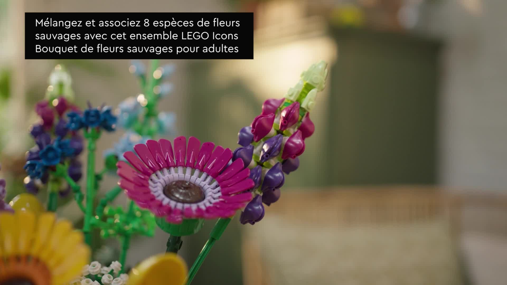 LEGO 10313 Icons Bouquet de Fleurs Sauvages, Plantes Artificielles avec  Coquelicots et Lavande, Activité Manuelle pour Adultes, Cadeau de