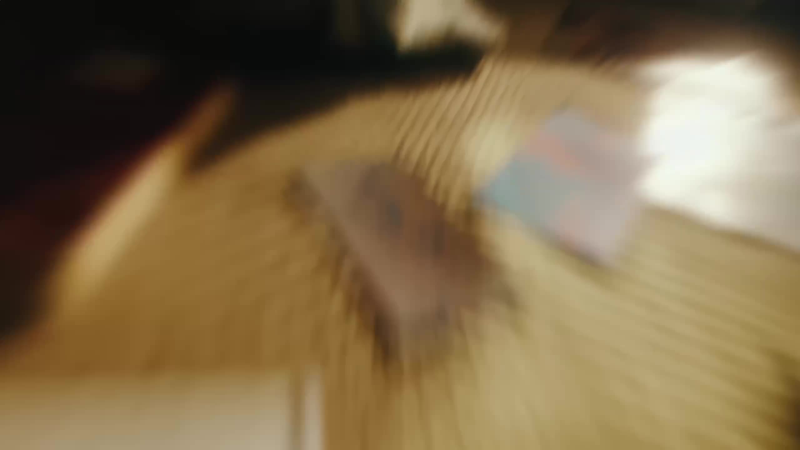3012-1