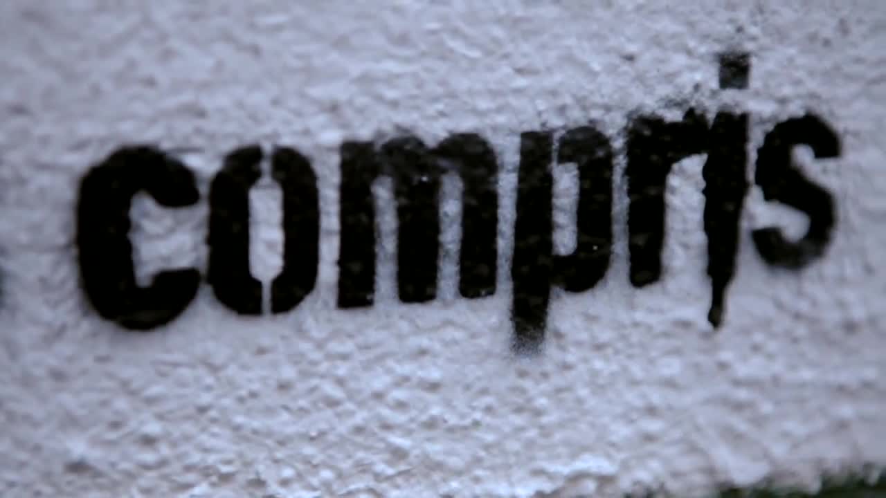 Video 1