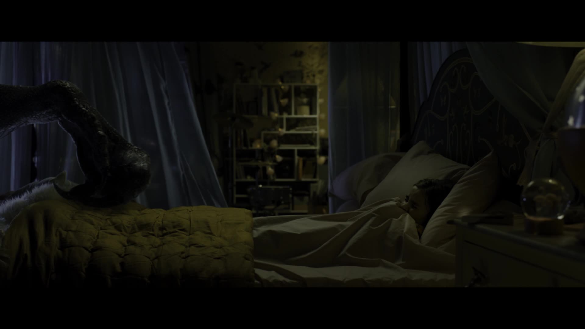 Video 1