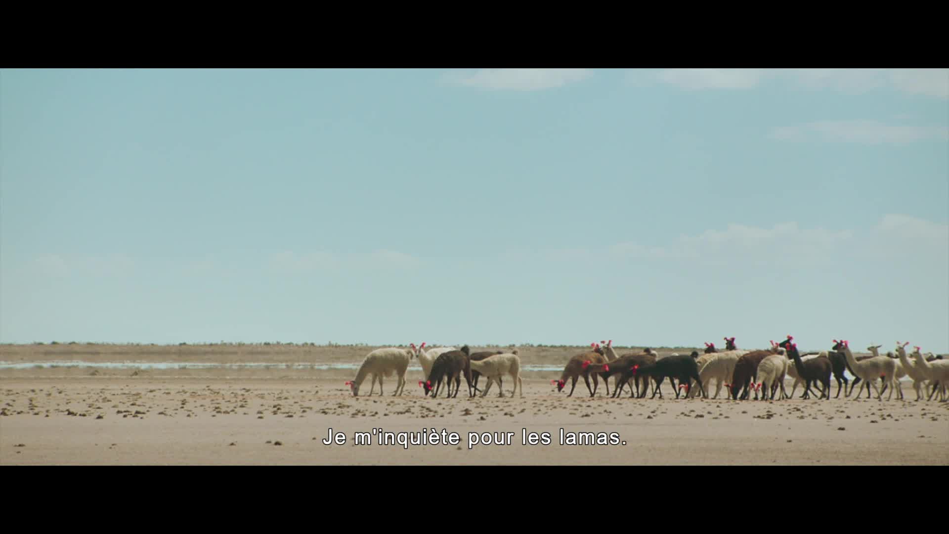 Mon film 2