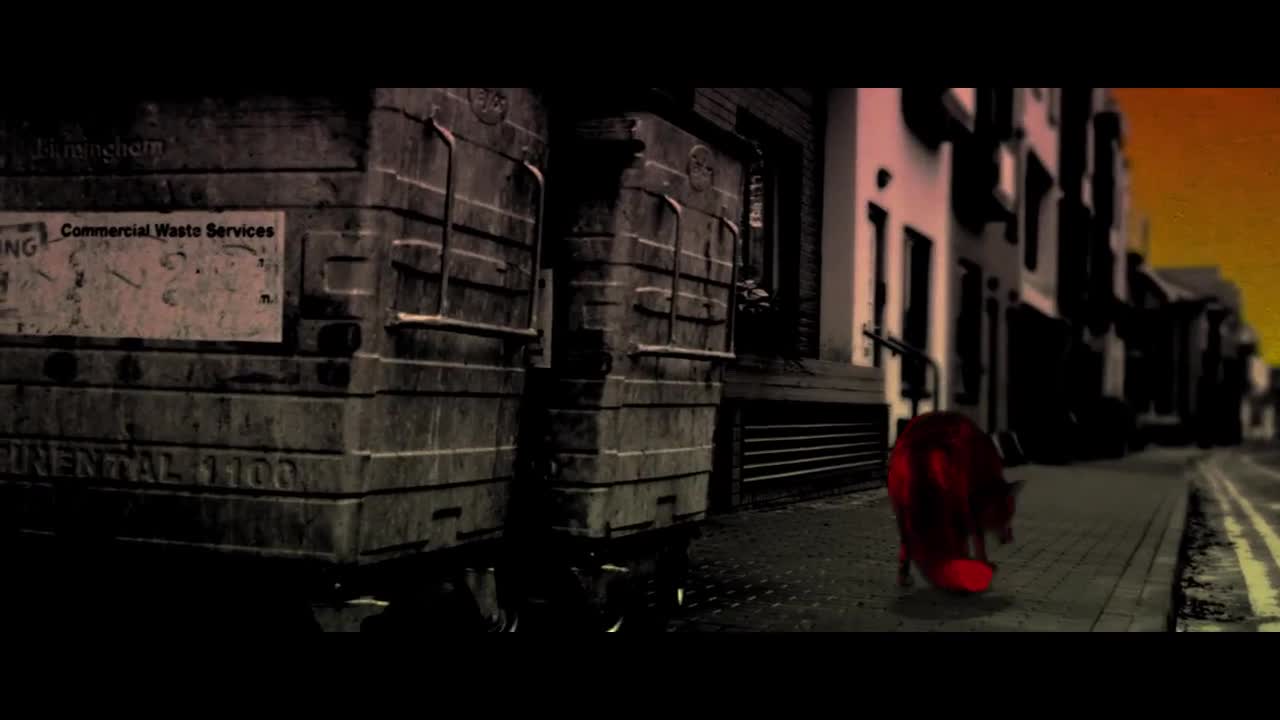 Video 1