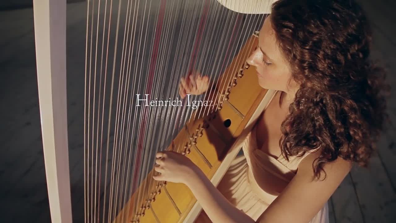 Video 1