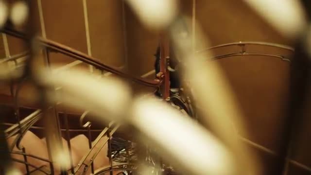 Video 1