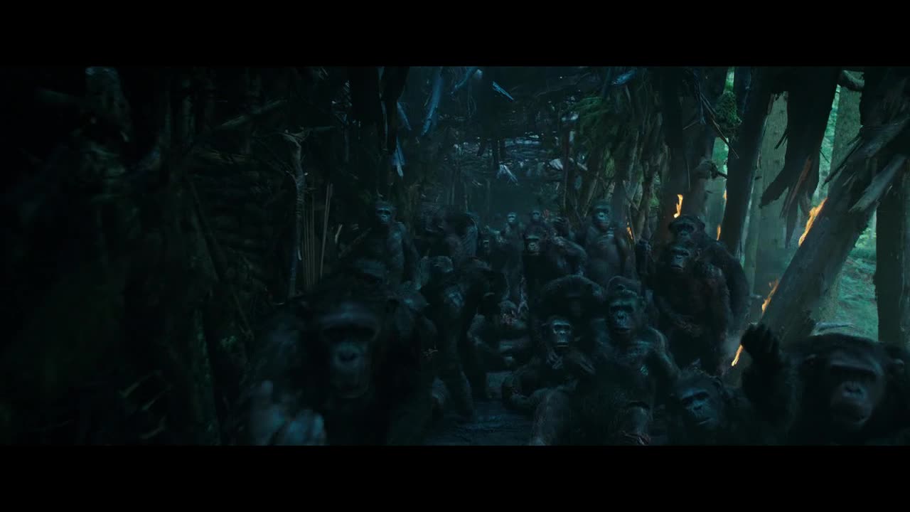 Video 1