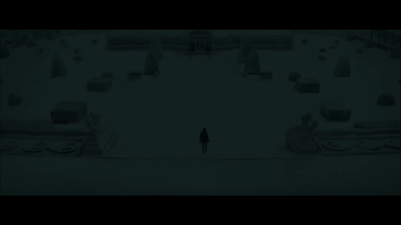 Video 1