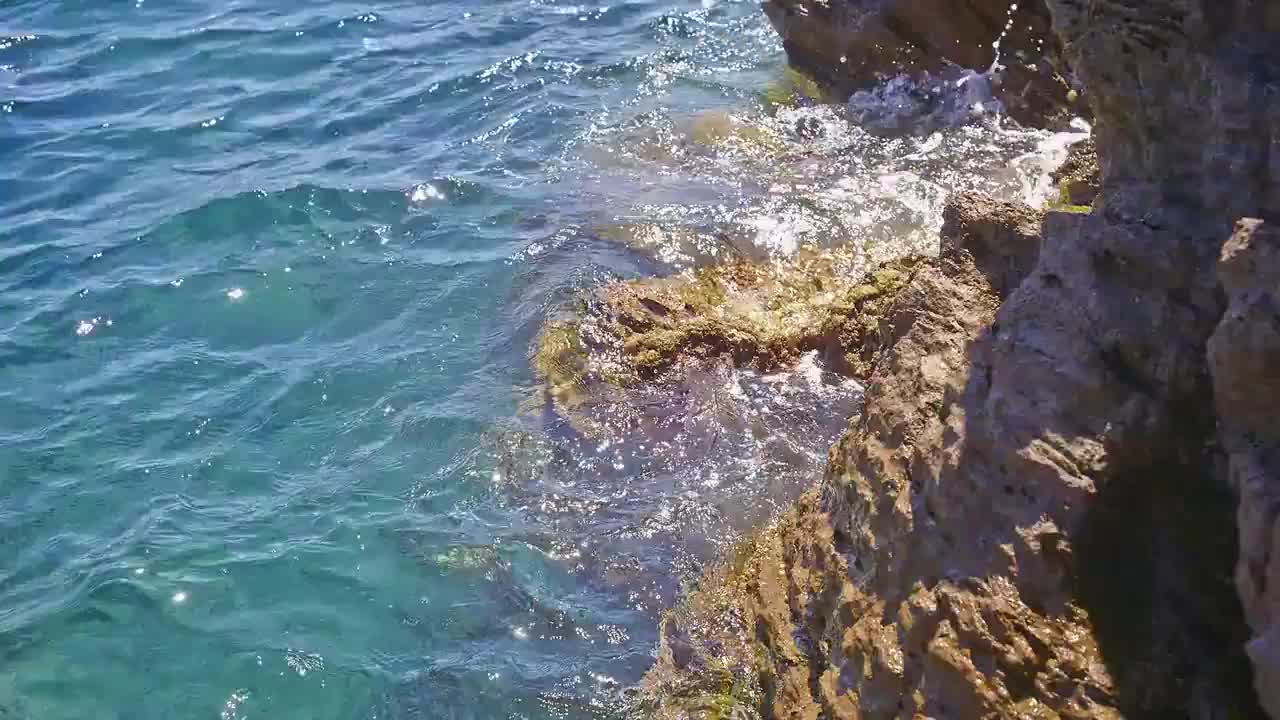 Video 1