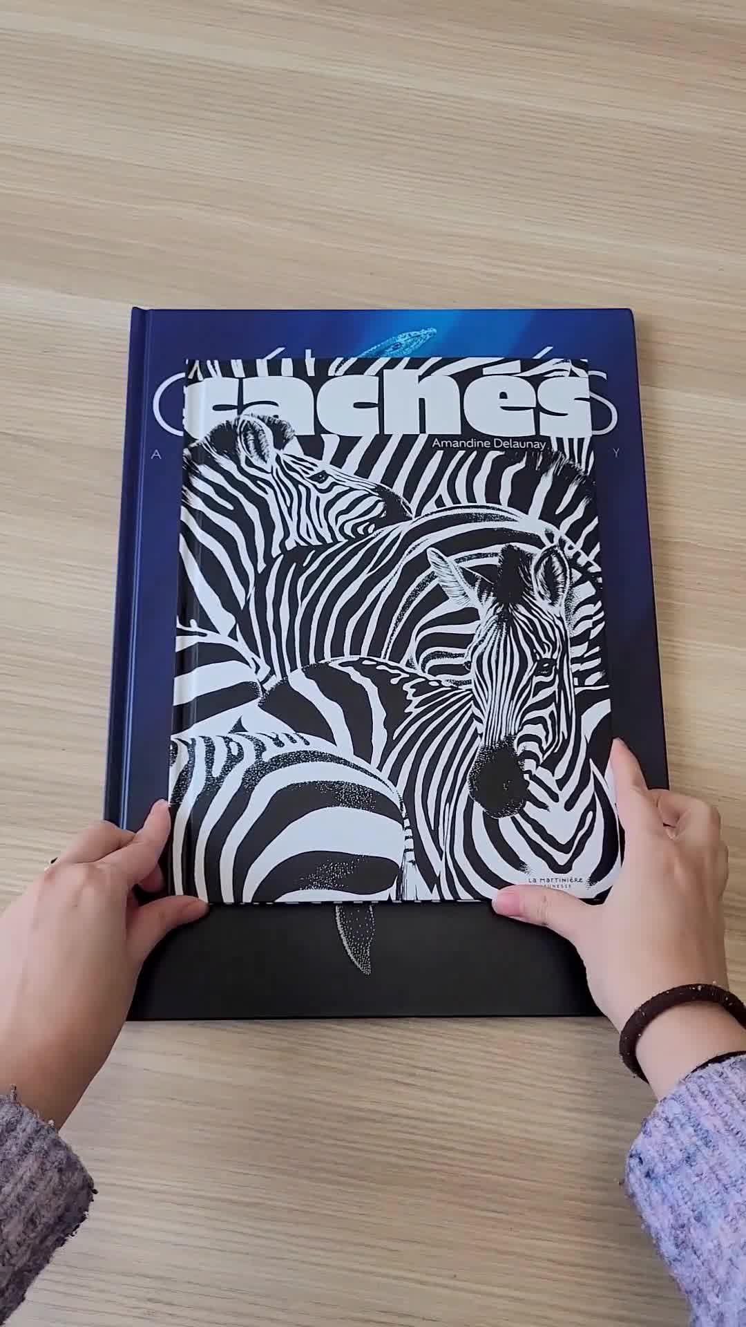 Video 1
