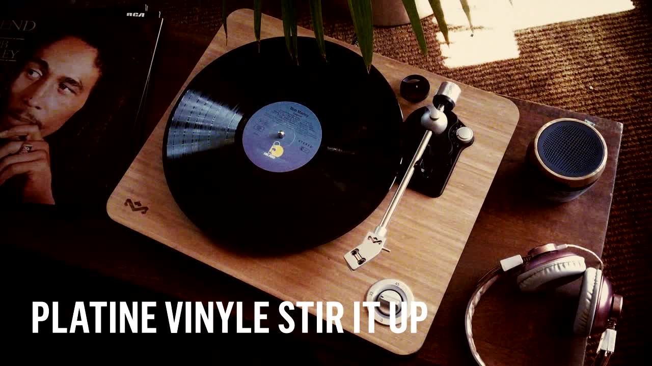 Adaptateur Secteur Alimentation 12V Top Chargeur Pour Platine Vinyle Marley Stir It Up Bluetooth