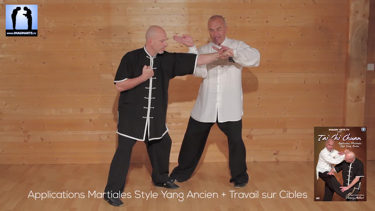 Tai Chi Chuan Applications martiales style Yang ancien DVD - Lionel