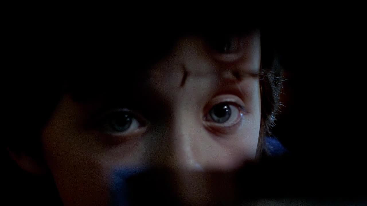 Fnac La Gloire De Mon Père Coffret Le Décalogue Blu-ray - Krzysztof Kieslowski - Blu-ray - Achat