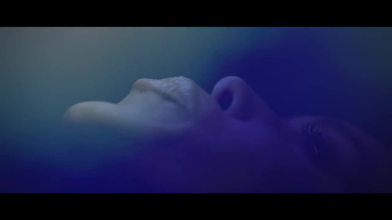Video 1