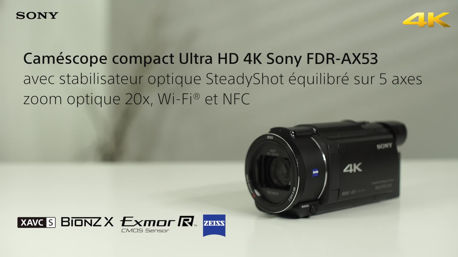 Sony FDR-AX53 Caméscope 4K Zoom Optique 20x Capteur CMOS Exmor R :  : High-Tech