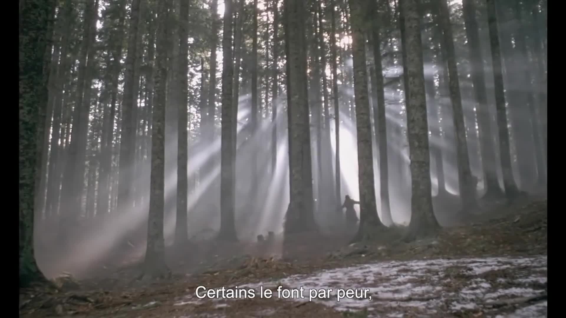 Video 1