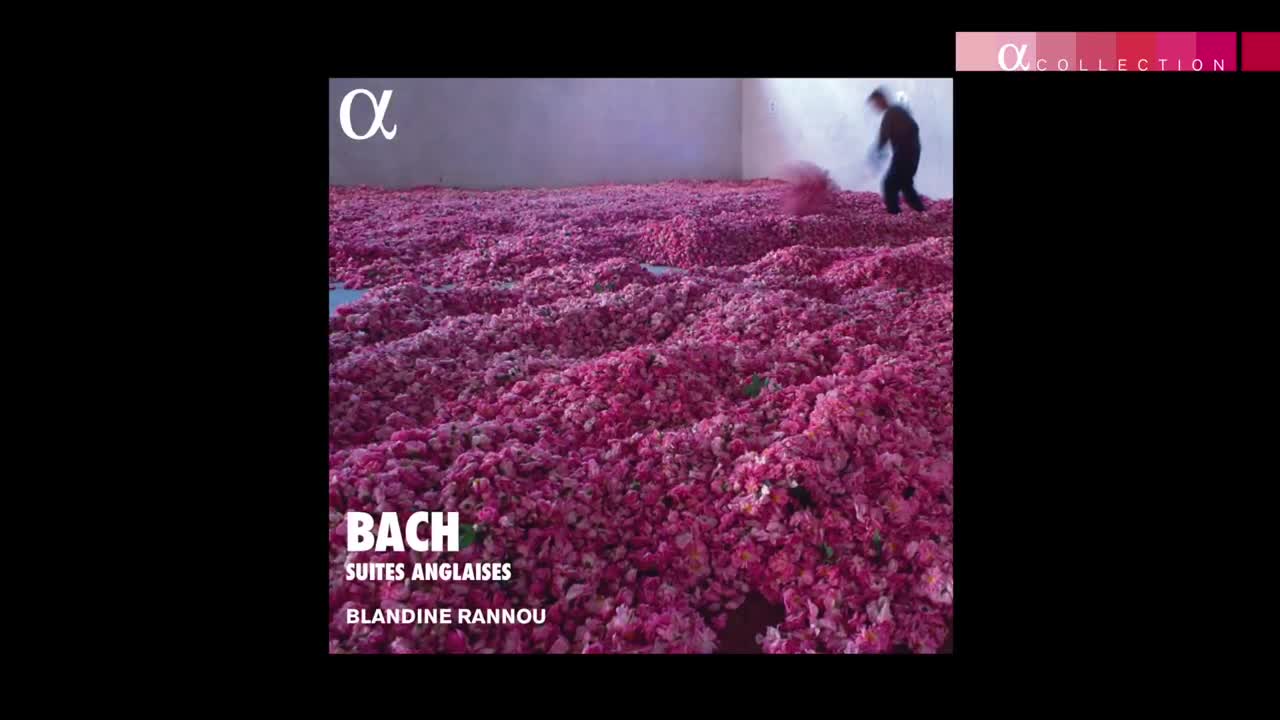 Video 1