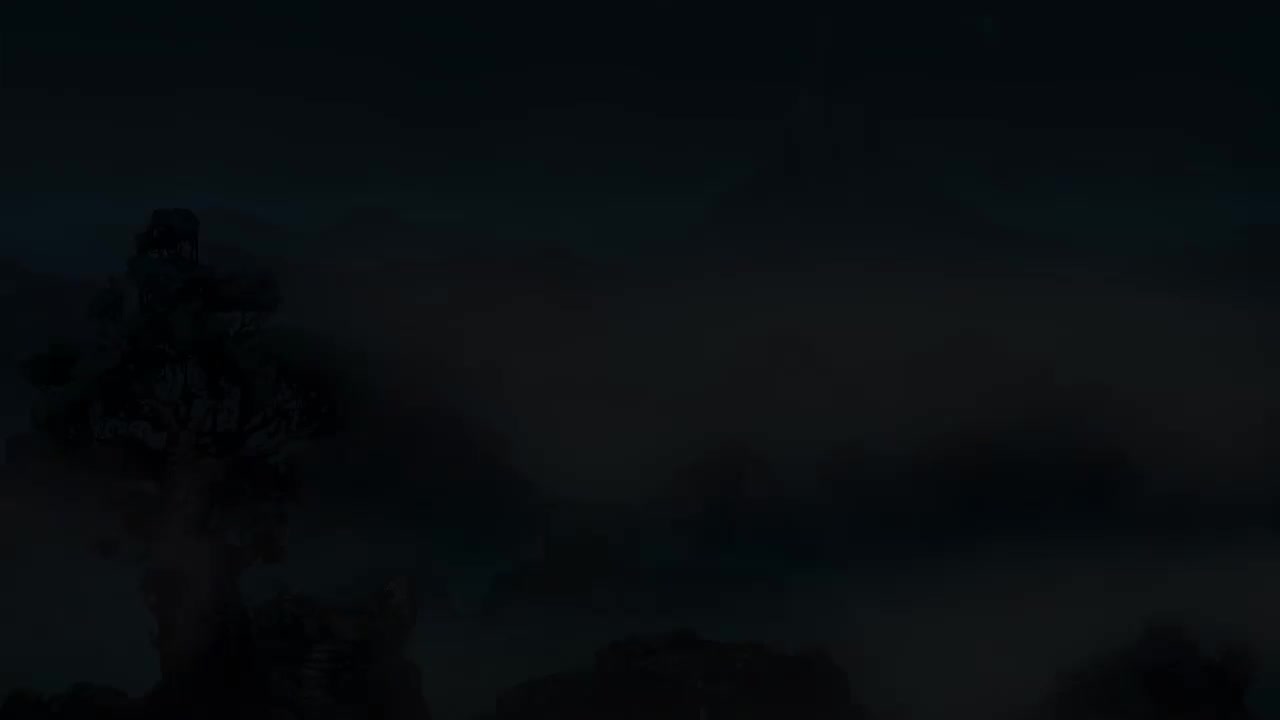 Video 1
