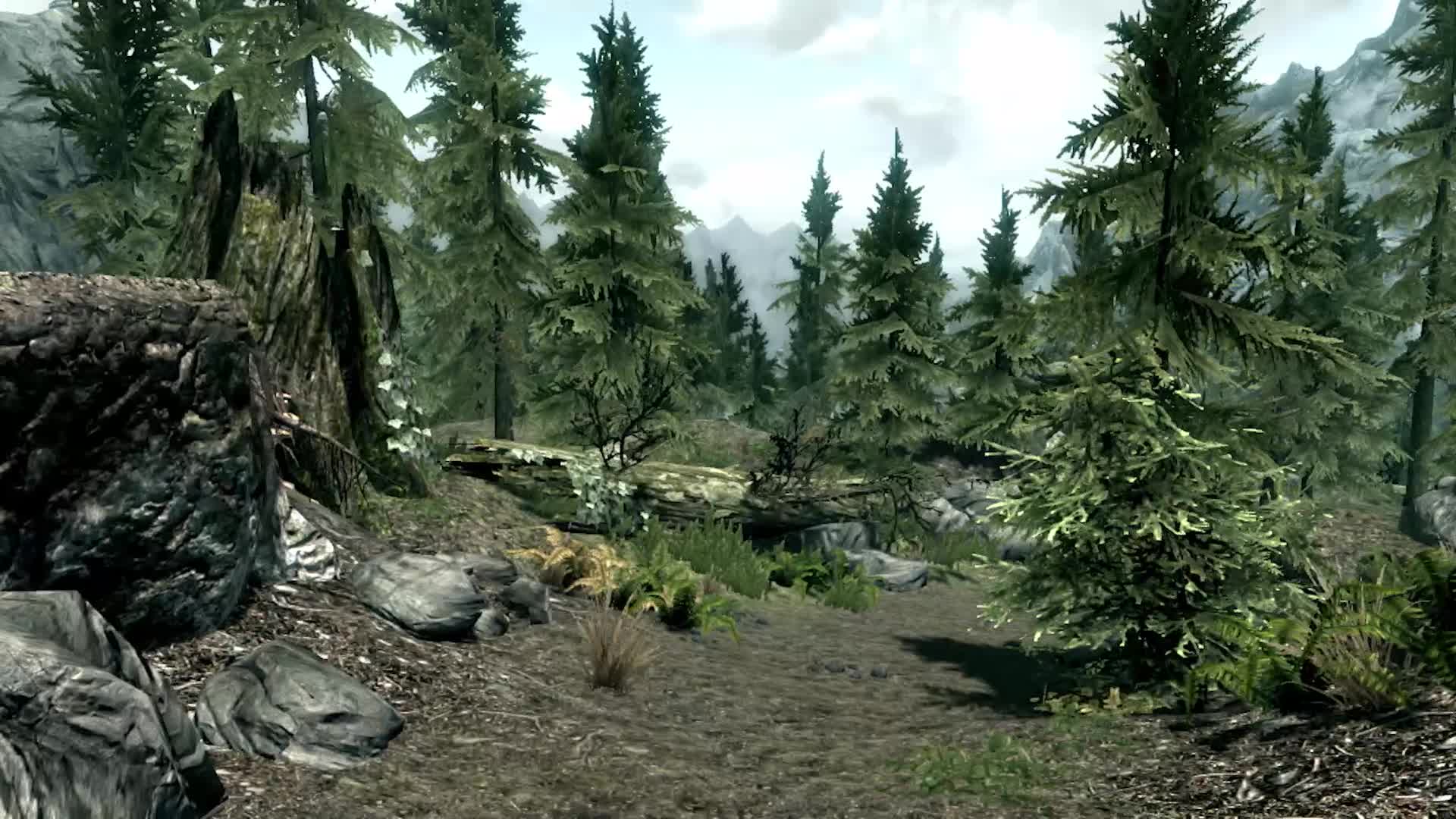 The Elder Scrolls V Skyrim Xbox One - Jeux vidéo - Achat & prix | fnac