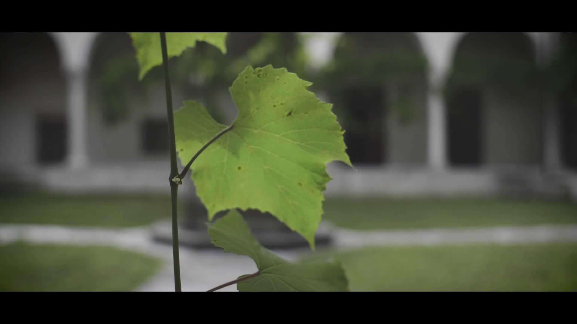 Video 1