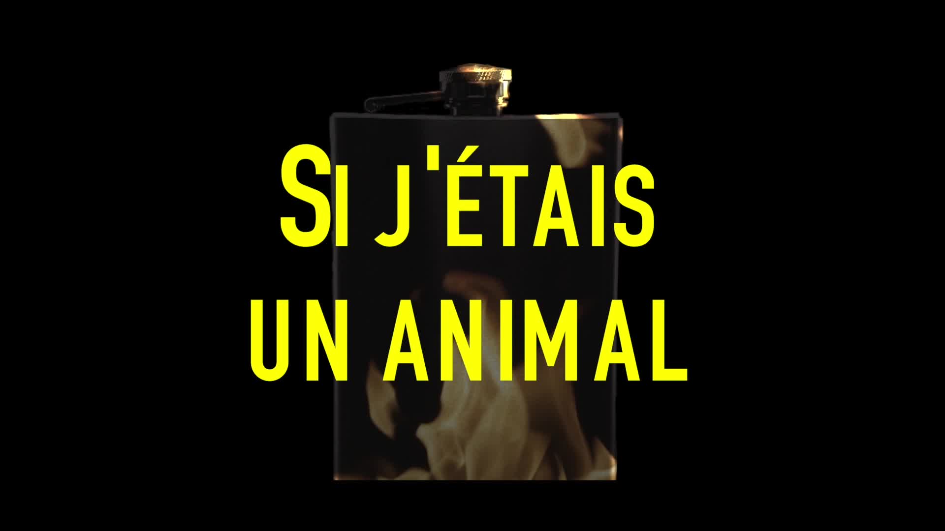 Video 1