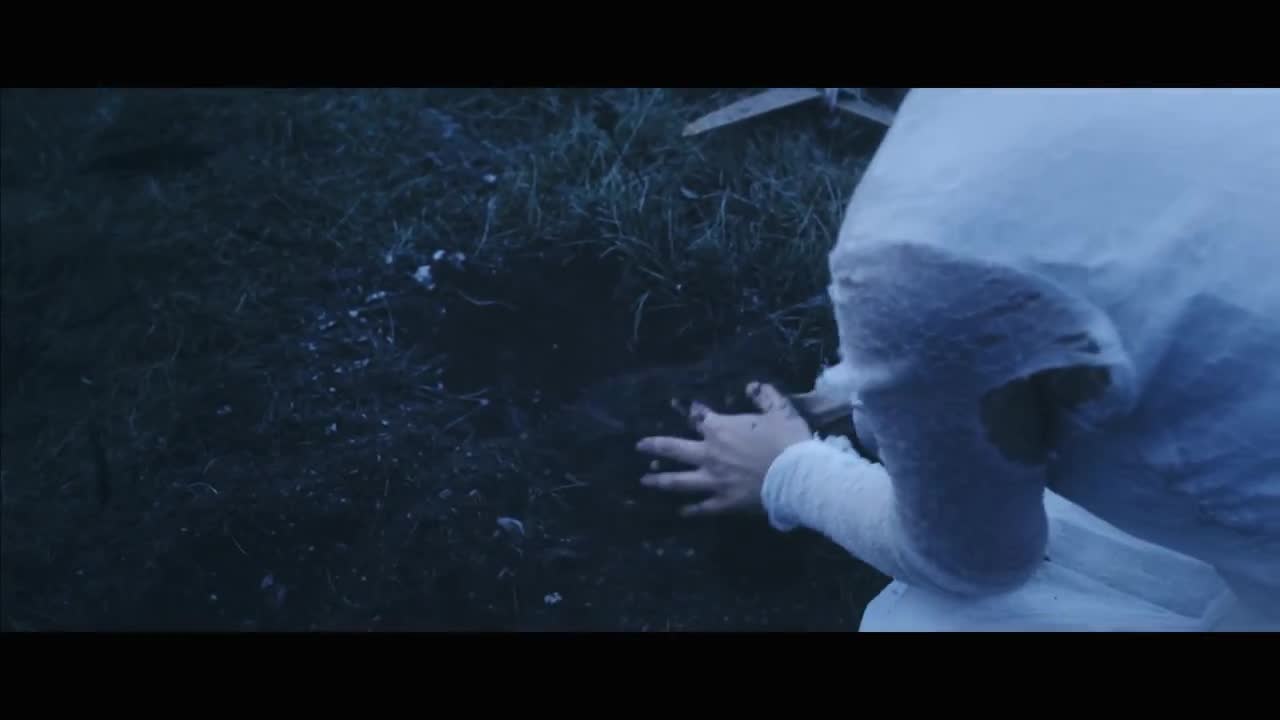 Video 1