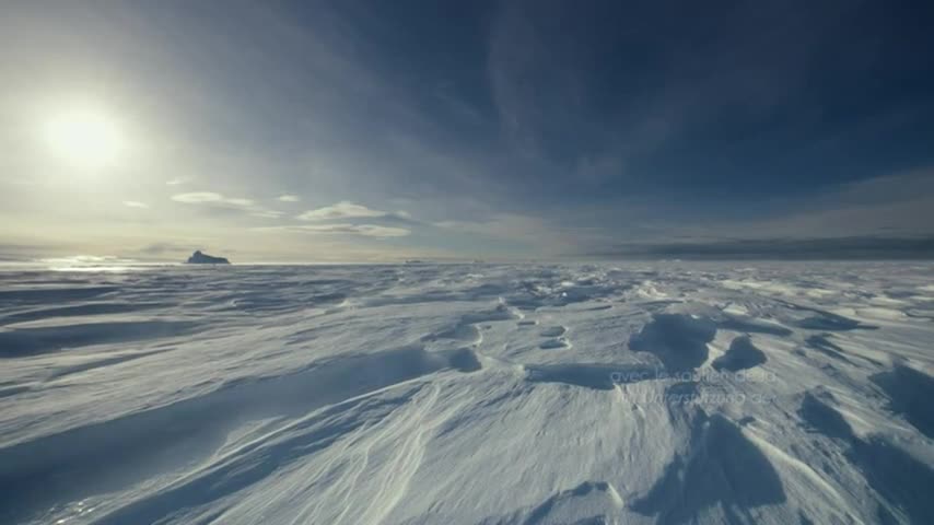 Antarctica Sur Les Traces De L Empereur Antarctica, sur les traces de l'empereur DVD - Jerome Bouvier - DVD