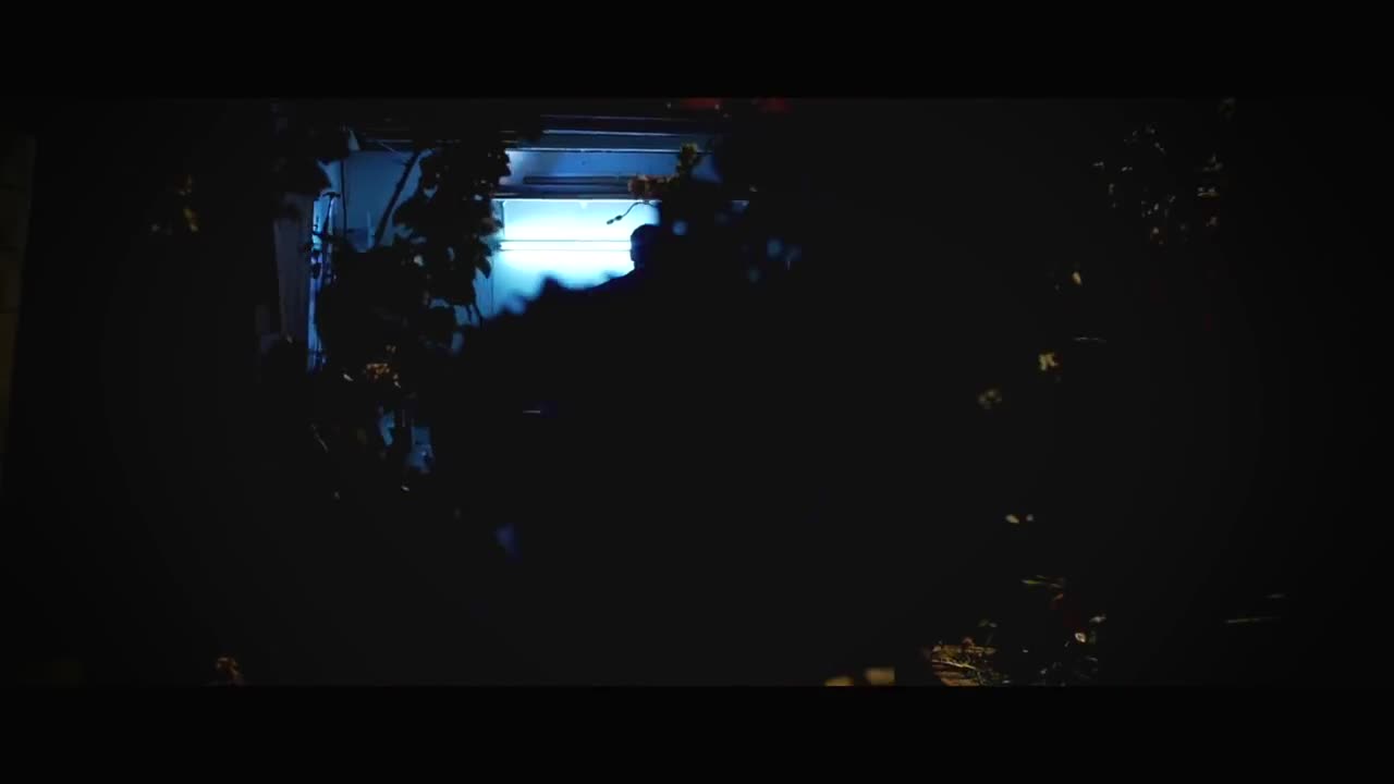 Video 1